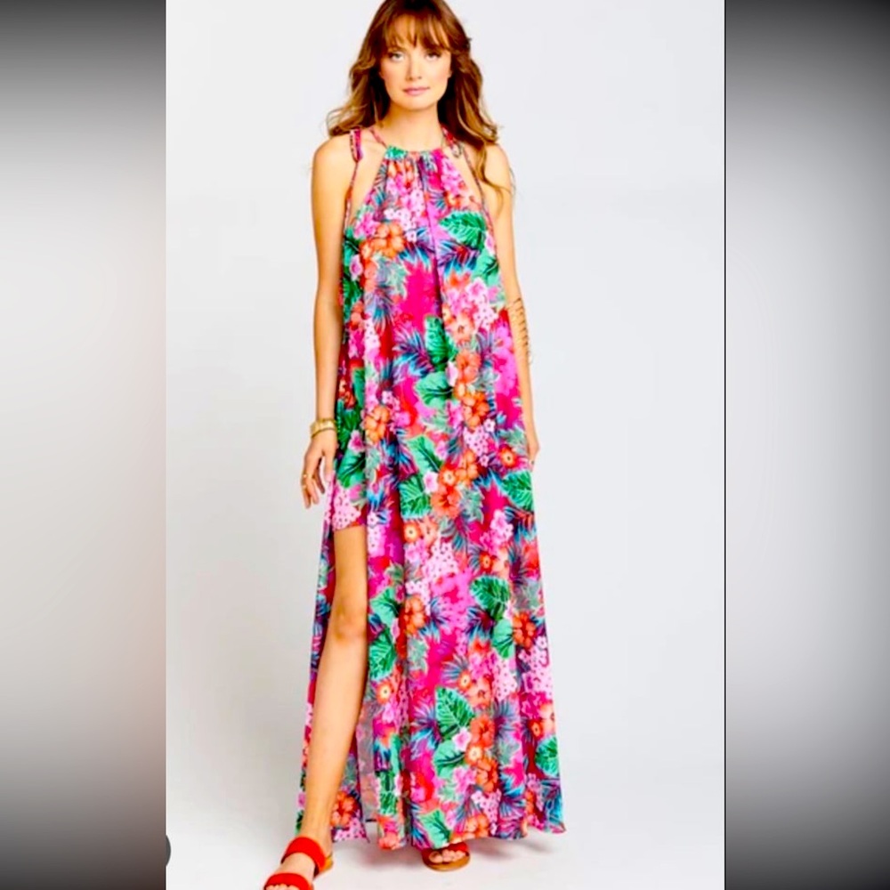Show Me Your Mumu Rochester Dress